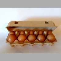 Zdjęcie produktu Opakowania na 10 jaj z szare 100 sztuk